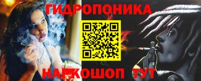 дурь Майкоп