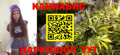 apvp Магадан