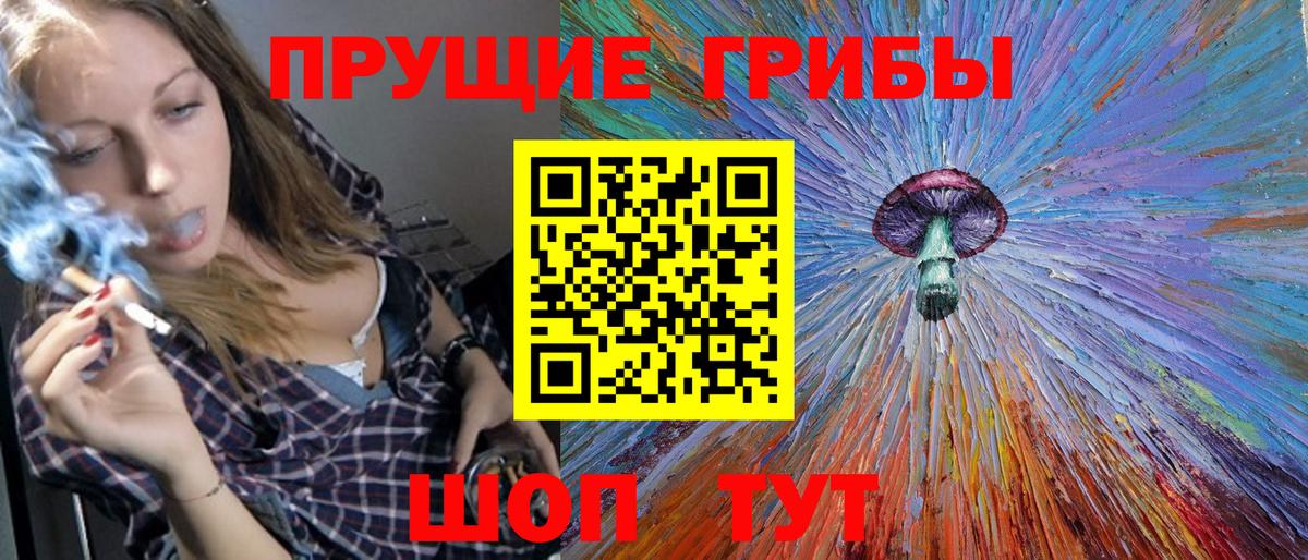 Коммунар  Галлюциногенные грибы Cubensis  Вход с VPN 